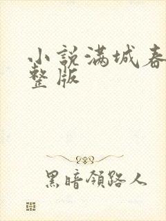 小说满城春色完整版