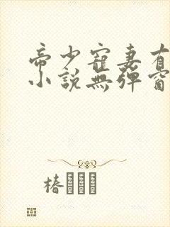 帝少宠妻有点甜小说无弹窗