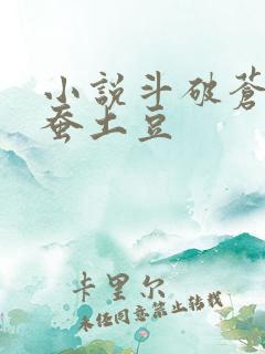 小说斗破苍穹天蚕土豆
