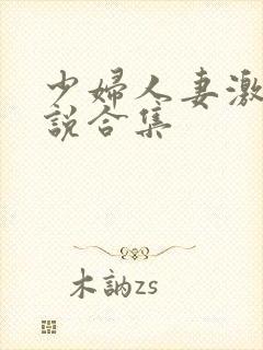 少妇人妻激情小说合集