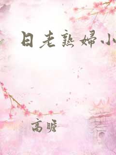 日老熟妇小说