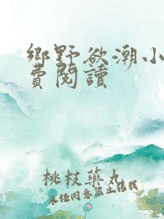 乡野欲潮小说免费阅读