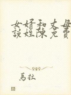 女婿和丈母娘小说姓陈免费阅读