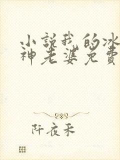 小说我的冰山女神老婆免费阅读