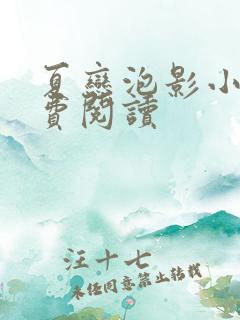 夏恋泡影小说免费阅读