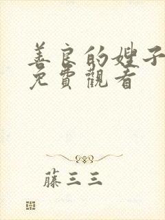 善良的嫂子韩剧免费观看
