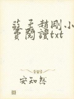苏柔赵刚小说免费阅读txt