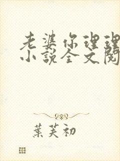 老婆你理理我啊小说全文阅读