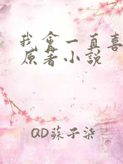 我会一直喜欢你原著小说