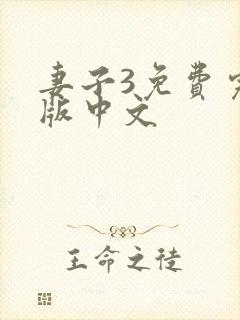 妻子3免费完整版中文