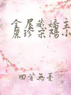 金屋藏娇主角陈丽珍宋阳小说免费阅读