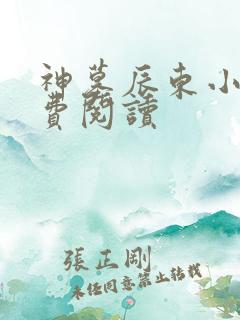 神墓辰东小说免费阅读
