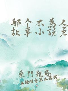 那个不为人知的故事小说免费阅读完整版在线