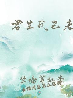 君生我已老诗句