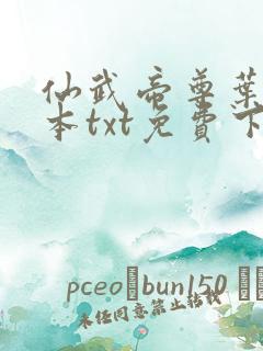 仙武帝尊叶辰全本txt免费下载