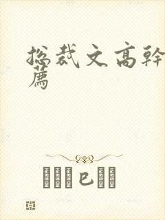 总裁文高干文推荐
