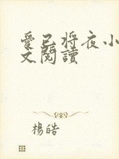 爱已将夜小说全文阅读