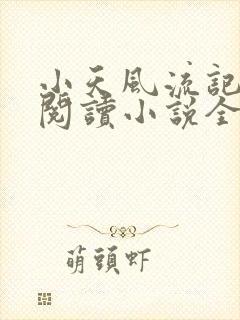 小天风流记免费阅读小说全文