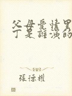 父母爱情里的老丁是谁演的