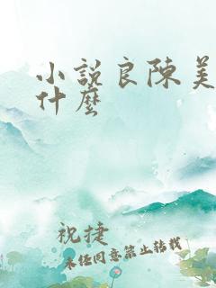小说良陈美锦讲什么