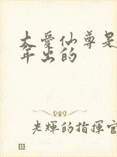 大爱仙尊是哪一年出的