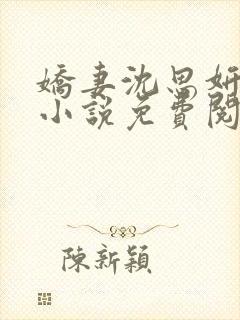 娇妻沈思妍沉沦小说免费阅读