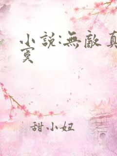 小说:无敌真寂寞