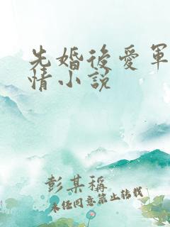 先婚后爱军旅言情小说