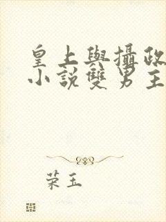皇上与摄政王的小说双男主