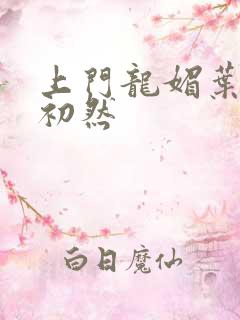 上门龙媚叶辰萧初然