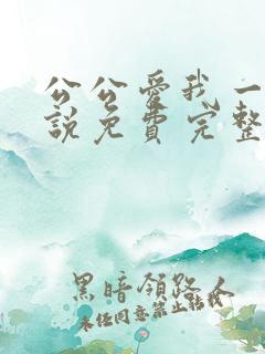 公公爱我一次小说免费完整版阅读