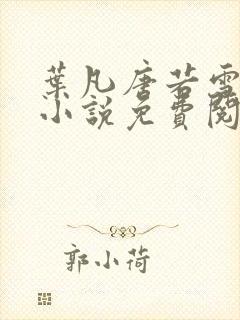 叶凡唐若雪医婿小说免费阅读