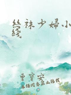 丝袜少妇小说在线