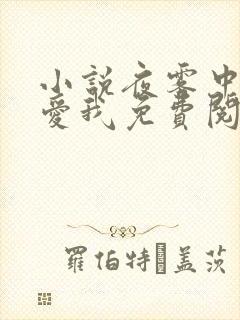 小说夜雾中无人爱我免费阅读
