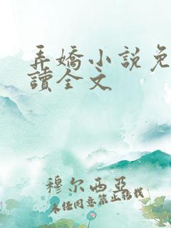 弄娇小说免费阅读全文