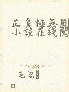 正负极无删减版小说在线阅读