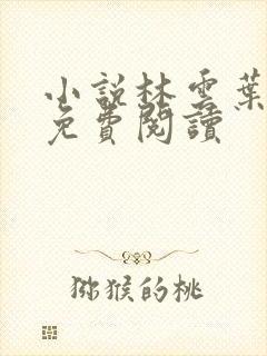 小说林云叶婉清免费阅读