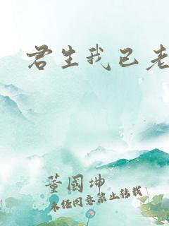 君生我已老全集