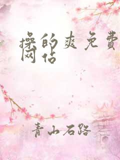 操的爽免费视频网站
