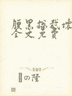 腹黑总裁坏坏爱全文免费