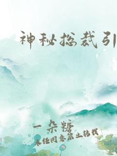 神秘总裁引入怀