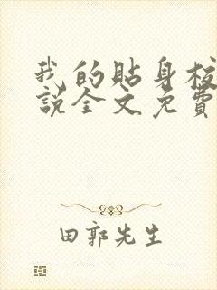 我的贴身校花小说全文免费阅读全文