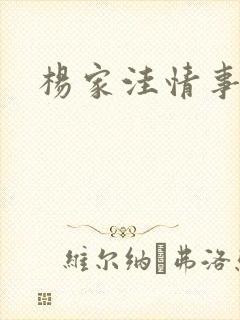 杨家洼情事小说