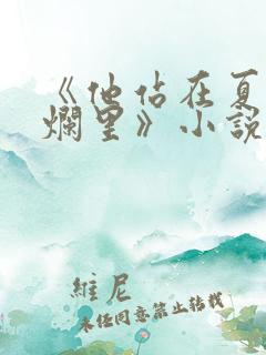 《他站在夏花绚烂里》小说