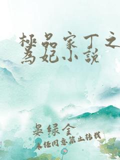 极品家丁之册母为妃小说