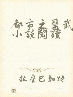 都市之医武风流小说阅读