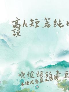高h短篇纯肉小说