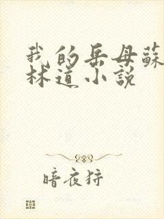 我的岳母苏沛真林道小说