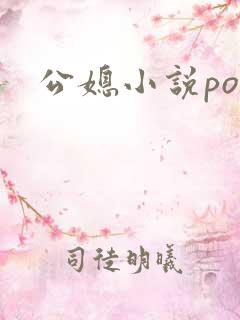 公媳小说po文