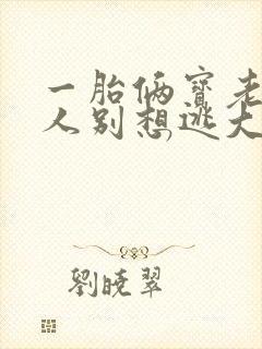 一胎俩宝老婆大人别想逃大结局